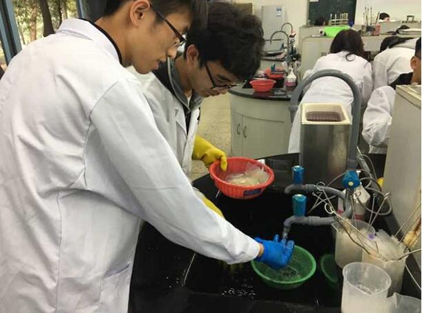 QQ截图20171023171324.jpg QQ截图20171023171324.jpg